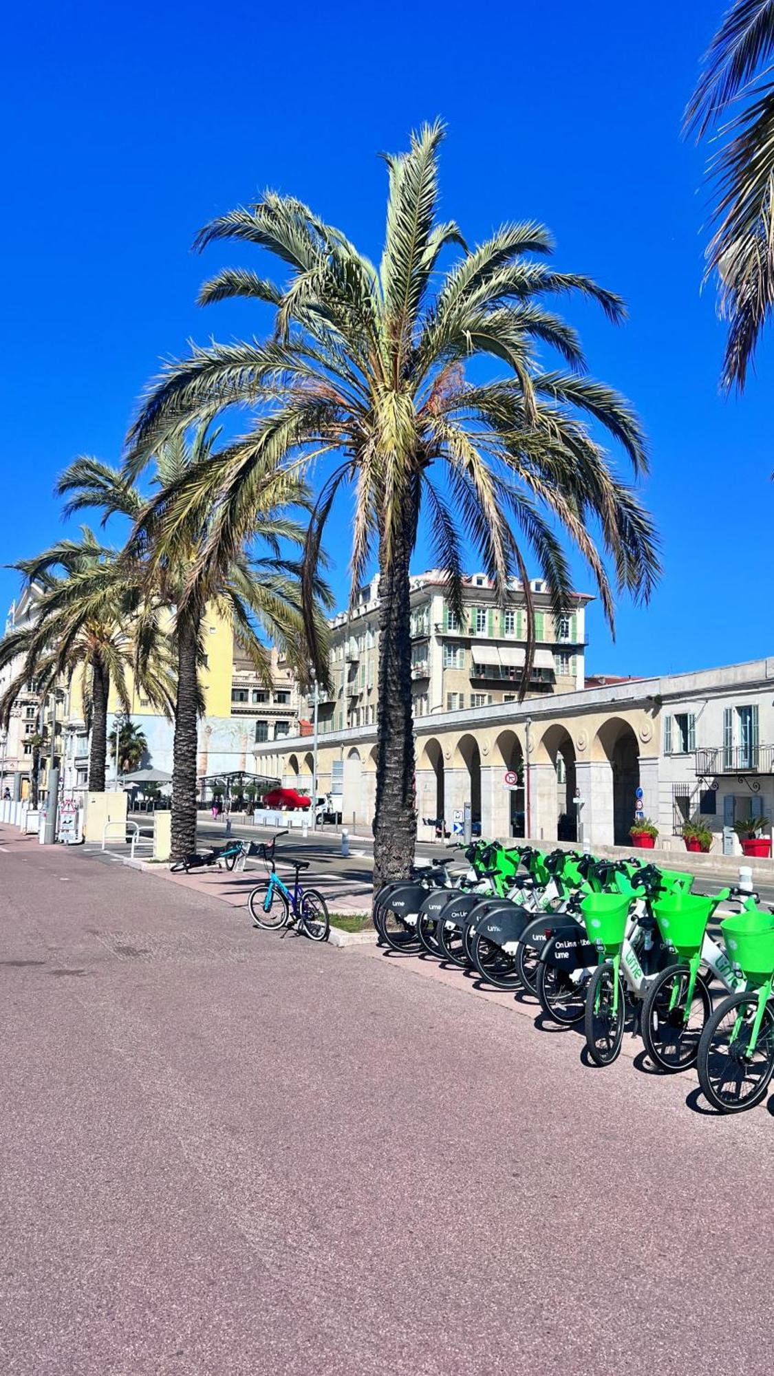 Apartamento Le Syrius Niza