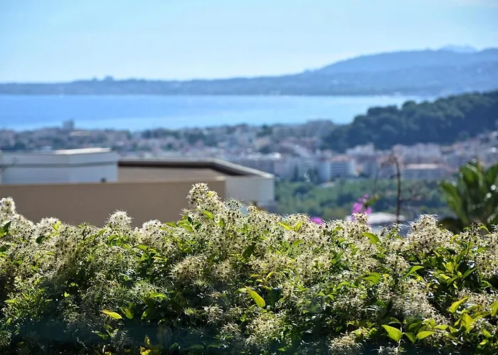 Le Plein Ciel